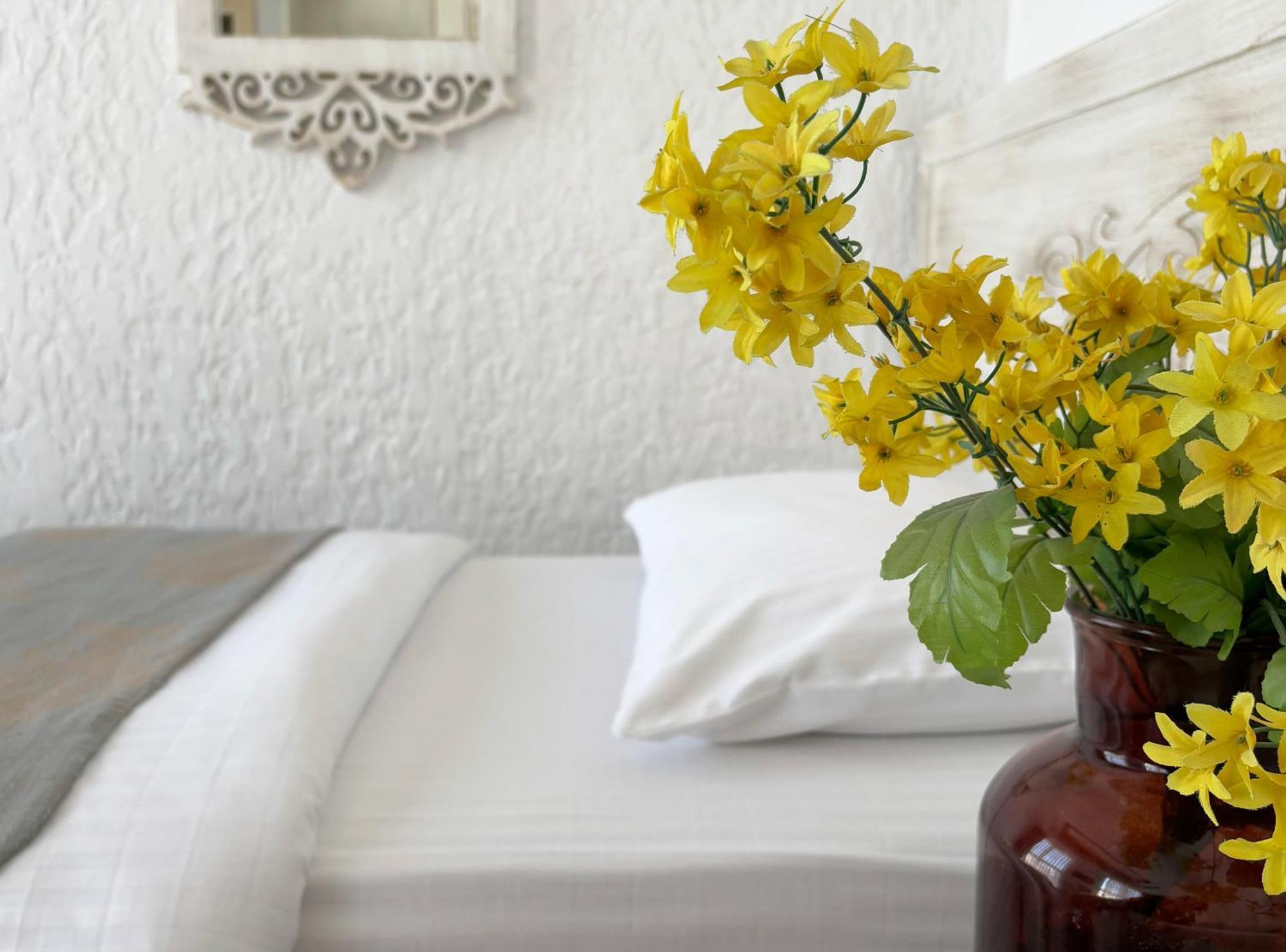 Elegance Asia Hotel 伊斯坦布尔 外观 照片
