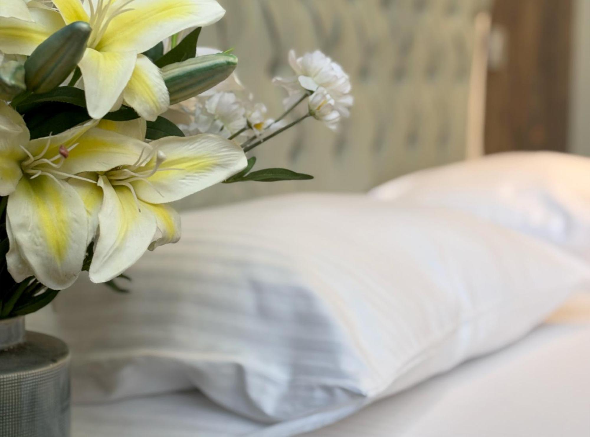 Elegance Asia Hotel 伊斯坦布尔 外观 照片